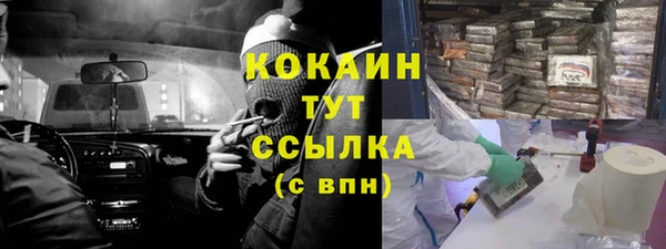 ПСИЛОЦИБИНОВЫЕ ГРИБЫ Лагань