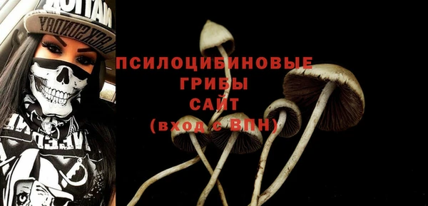 спайс Ладушкин
