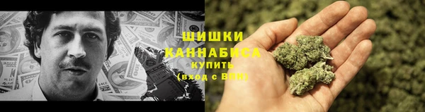 ПСИЛОЦИБИНОВЫЕ ГРИБЫ Лагань