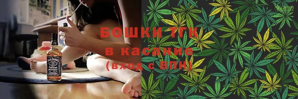 ПСИЛОЦИБИНОВЫЕ ГРИБЫ Лагань
