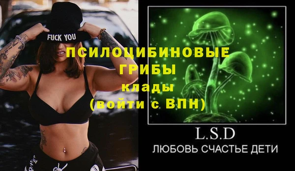 ПСИЛОЦИБИНОВЫЕ ГРИБЫ Лагань